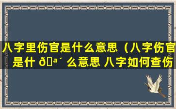 八字里伤官是什么意思（八字伤官是什 🪴 么意思 八字如何查伤官）